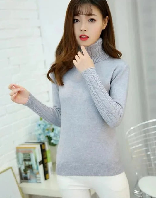 Turtleneck Long Sleeves Thick Sweater