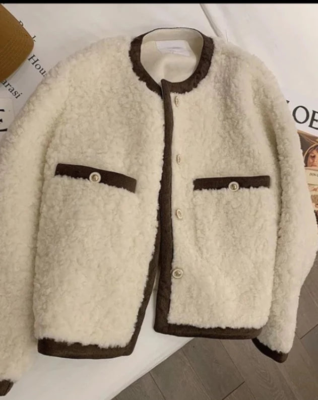 Fluffy Cozy Loose Fur Jacket