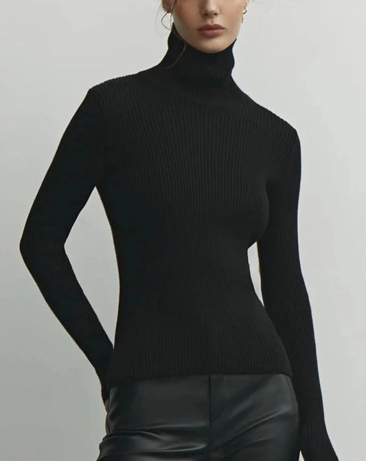 Turtleneck Basic Sweater