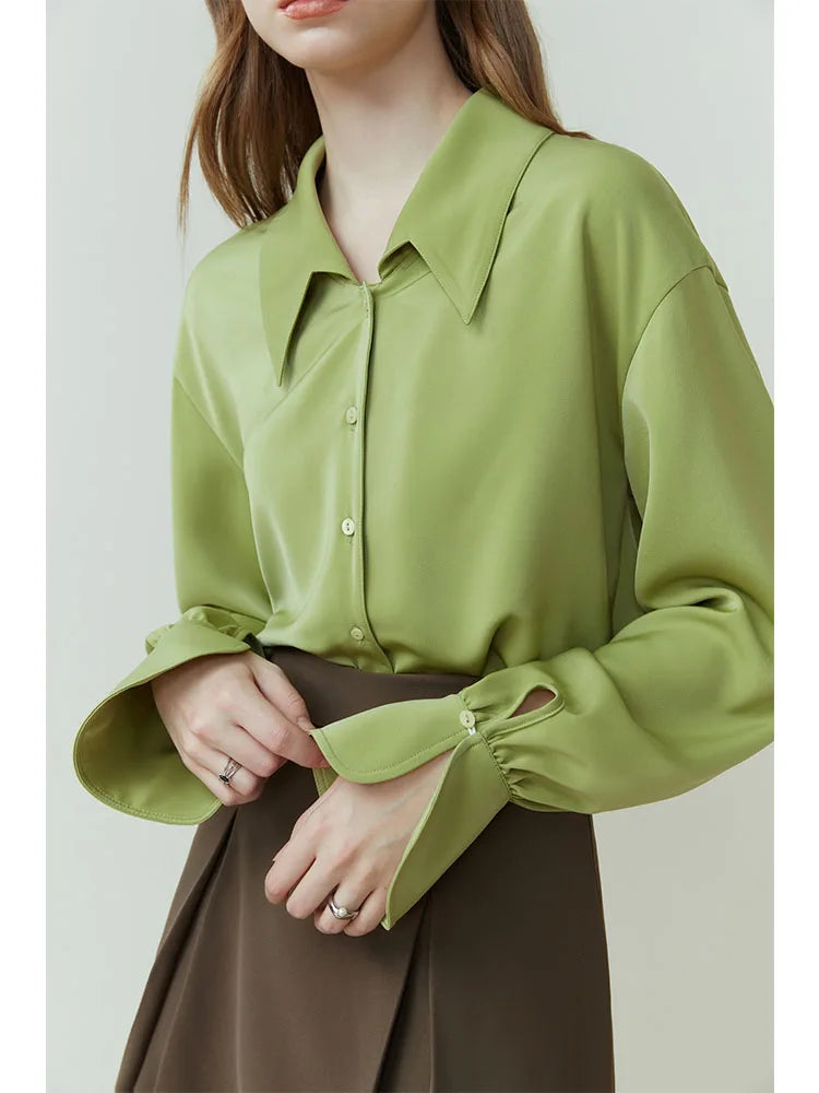 Pointed Collar Loose Blouse