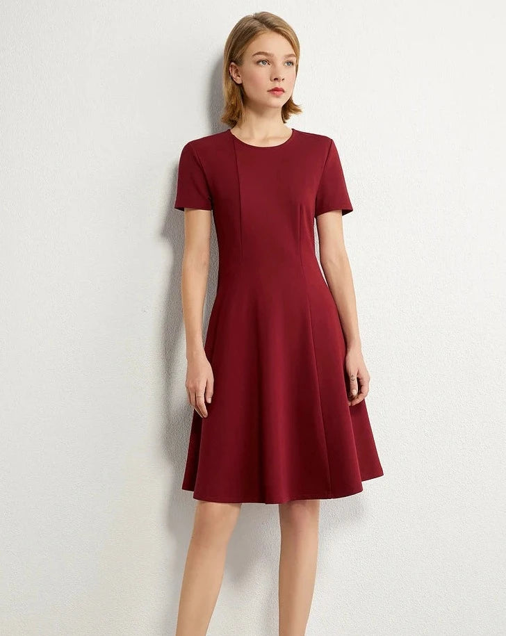 Minimalism Short Sleeve A Line Short Dress