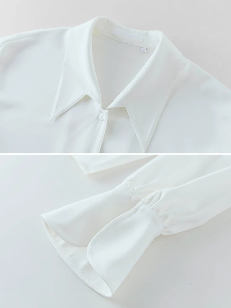 Pointed Collar Loose Blouse