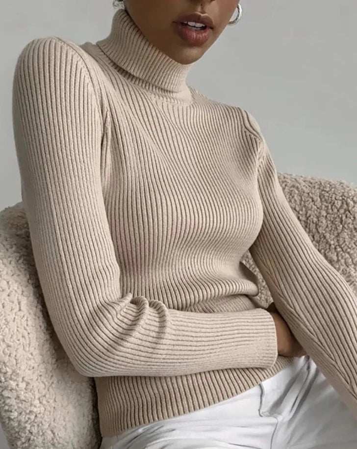 Turtleneck Basic Sweater