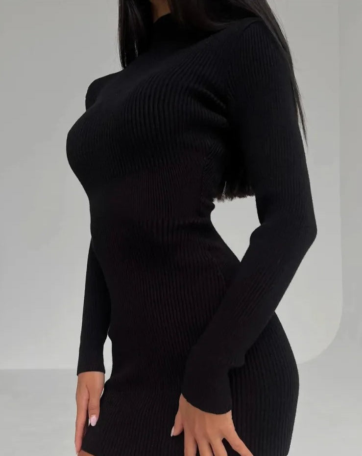 Elegant on sale turtleneck dress